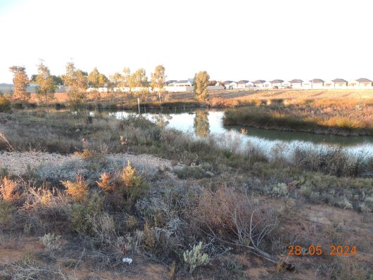 Wetlands with new buildingside